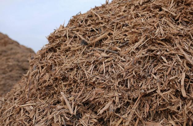 加州木材廢料制氫工廠,每年生產700萬公斤負碳氫.jpg 加州木材廢料制氫工廠,每年生產700萬公斤負碳氫.jpg