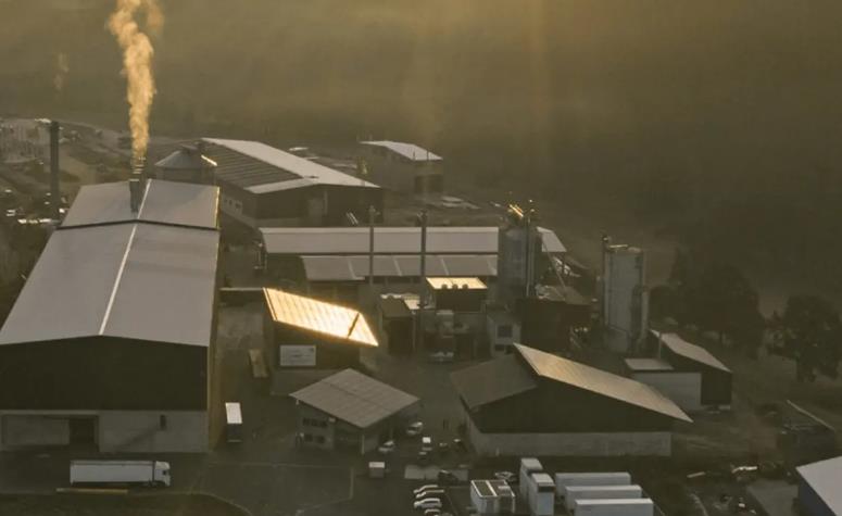 西門子8.75MW 文西德爾綠氫工廠投產.jpg