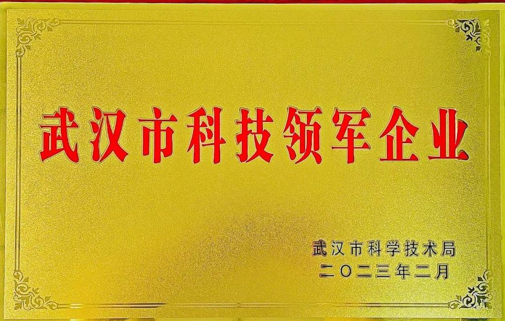 氫能領域唯一,眾宇動力榮獲武漢市科技領軍企業(yè)稱號.jpg